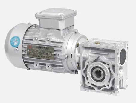 NMRV + motor