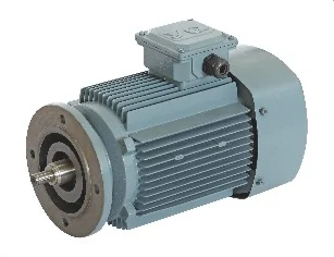 Motor for gear reducer