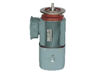 Motor for gear reducer, vertical